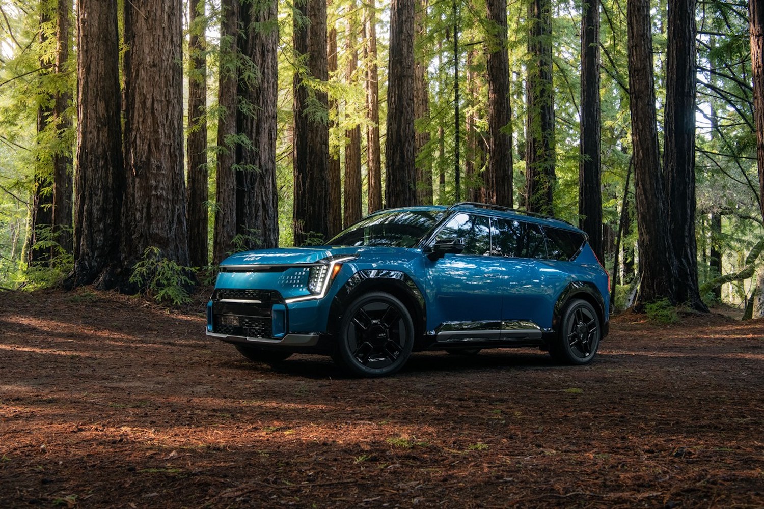 2024 Kia EV9 GT-Line parked in the woods with tall trees.