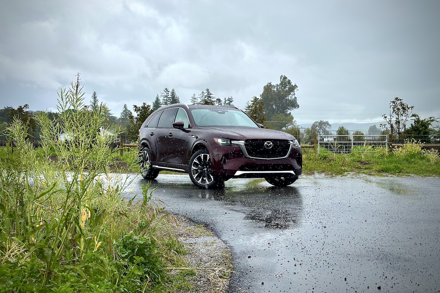 Front end angle of the 2024 Mazda CX-90 from the passenger's side parked in front of green plants.