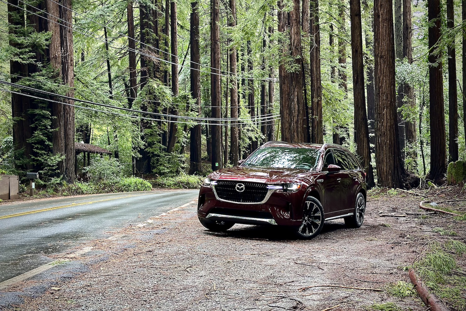 2024 Mazda CX-90 front end angle parked on the side of the road in front of trees.