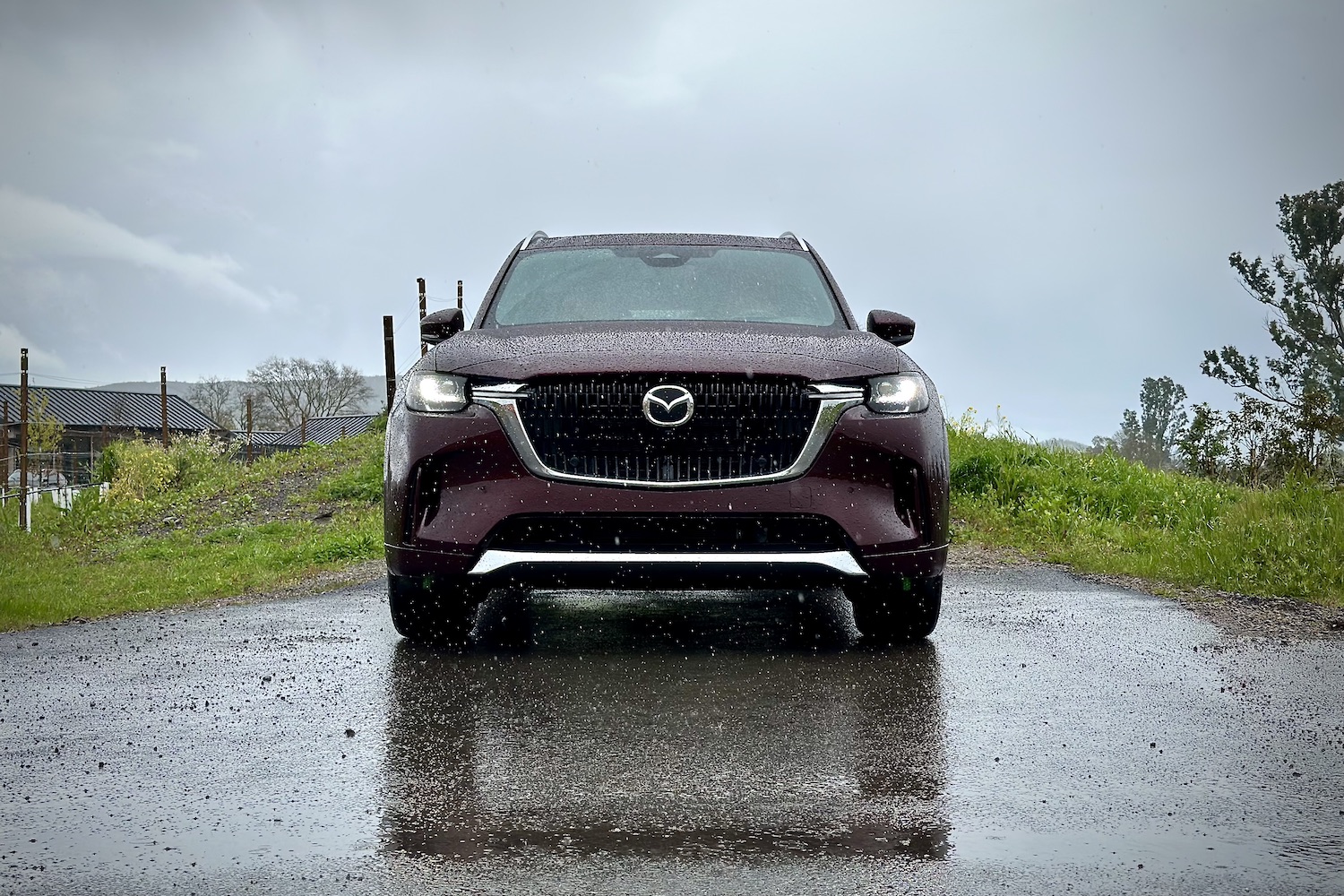 Close up of front end of the 2024 Mazda CX-90 parked in front of green grass.