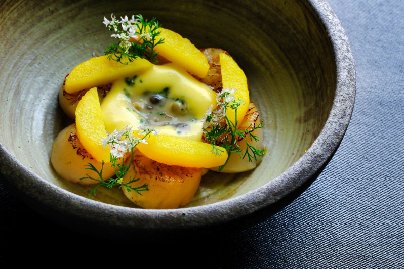 Scallops in a bowl.