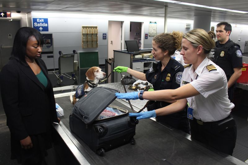 Airport security agent searching a female passenger's carry-on bag with a dog nearby