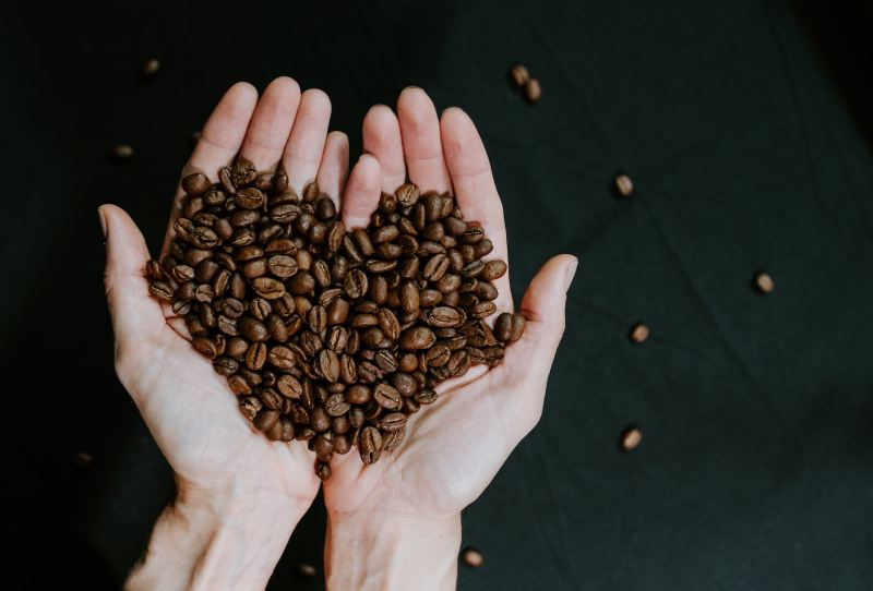 Two hands together holding a bunch of whole coffee beans.
