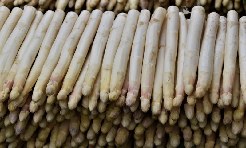 White asparagus
