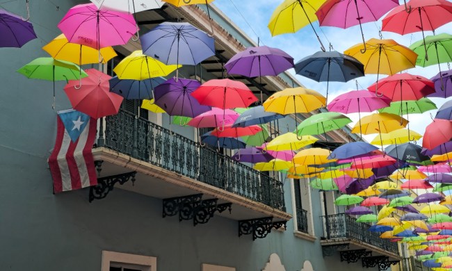 A "parade" of umbrellas above the street in San Juan, Puerto Rico.