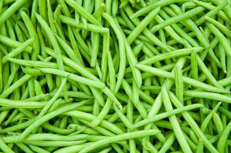 plate of fresh green beans