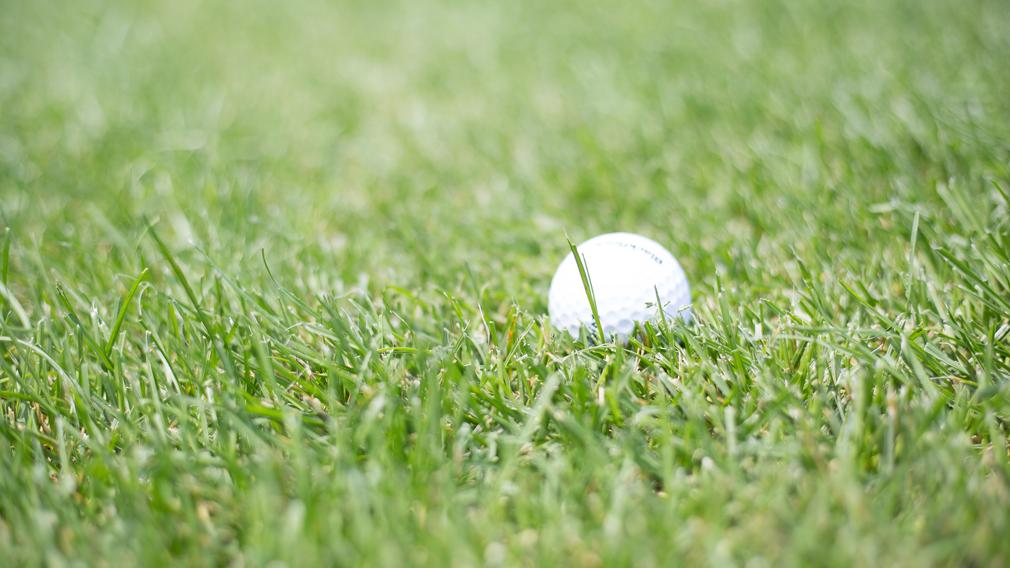 A golf ball sitting in grass.