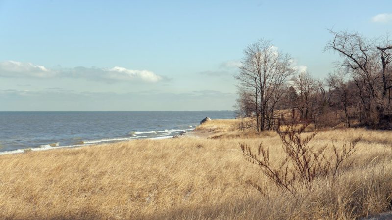 A view of the Indiana National Dunes Park.
