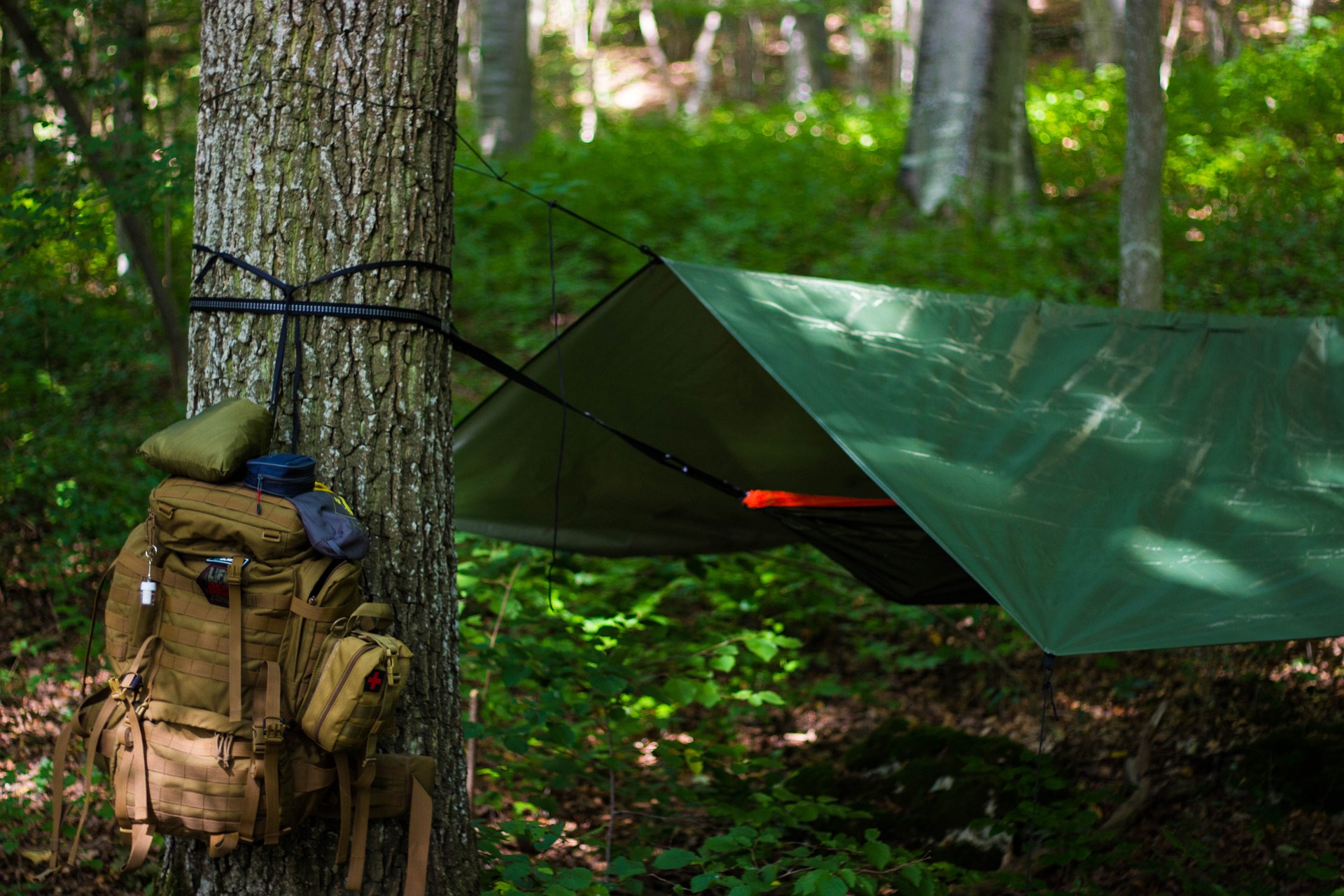 A bag hangs from a tree next to a tarp shelter in the woods.
