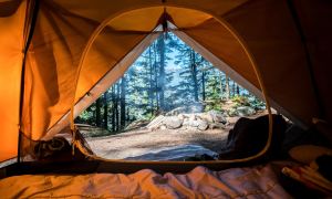 A view from the inside of a tent looking out on a campground.