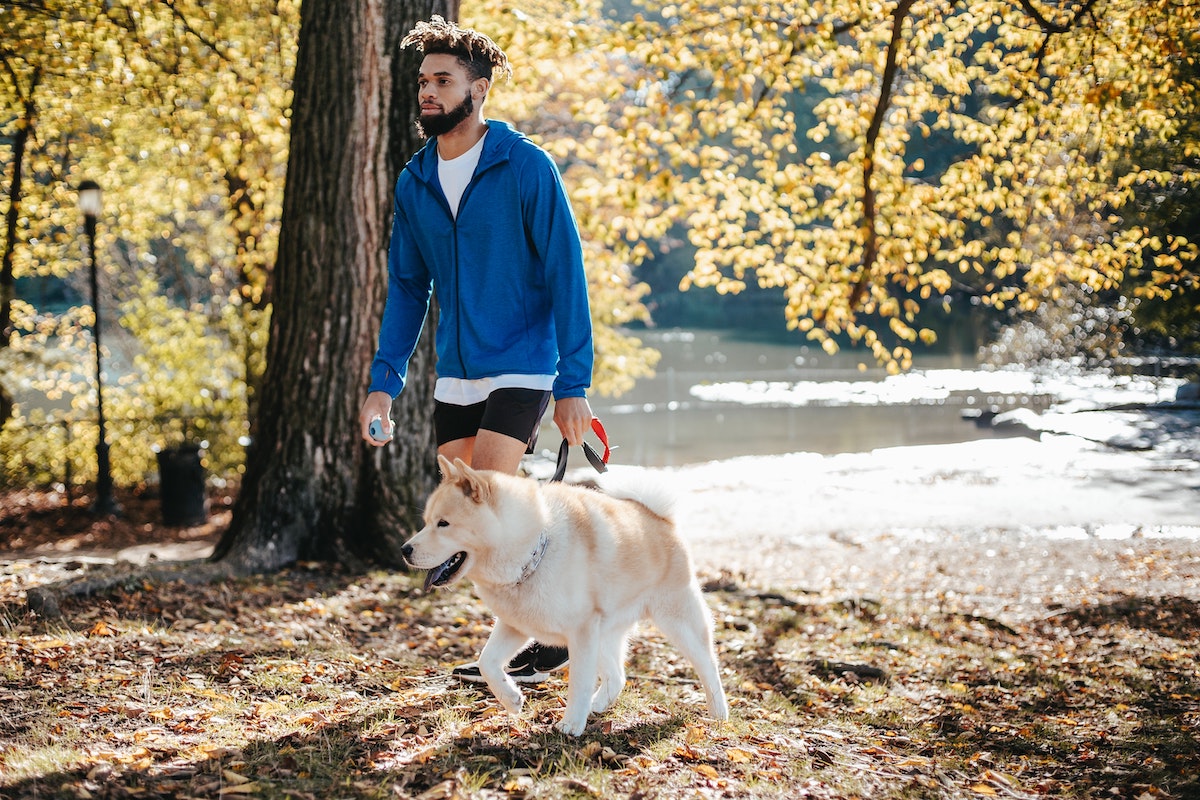 a man walking a dog