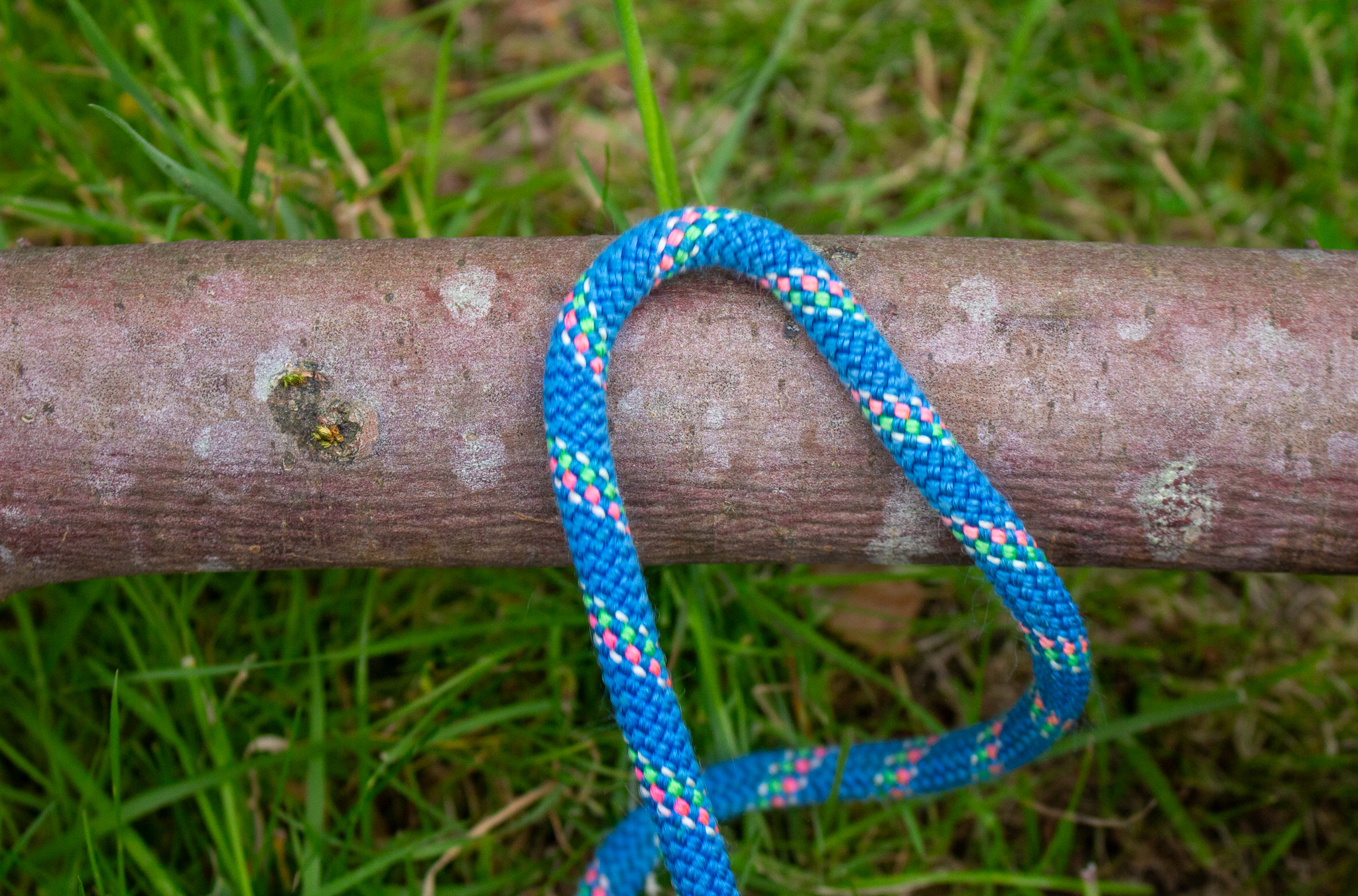 A released highwayman's hitch.