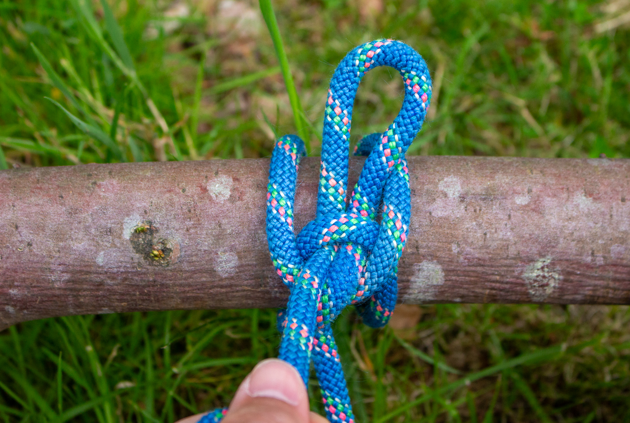 Pulling the working end of a highwayman's hitch to release it.