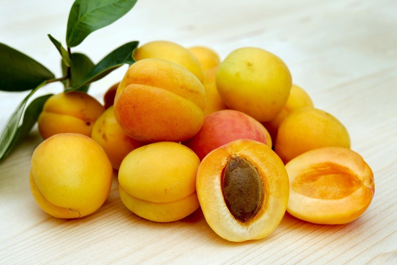 apricot