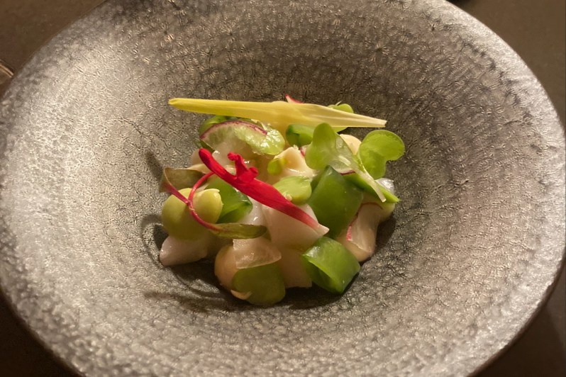 Aquavit scallop crudo