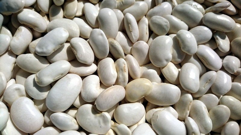 White beans