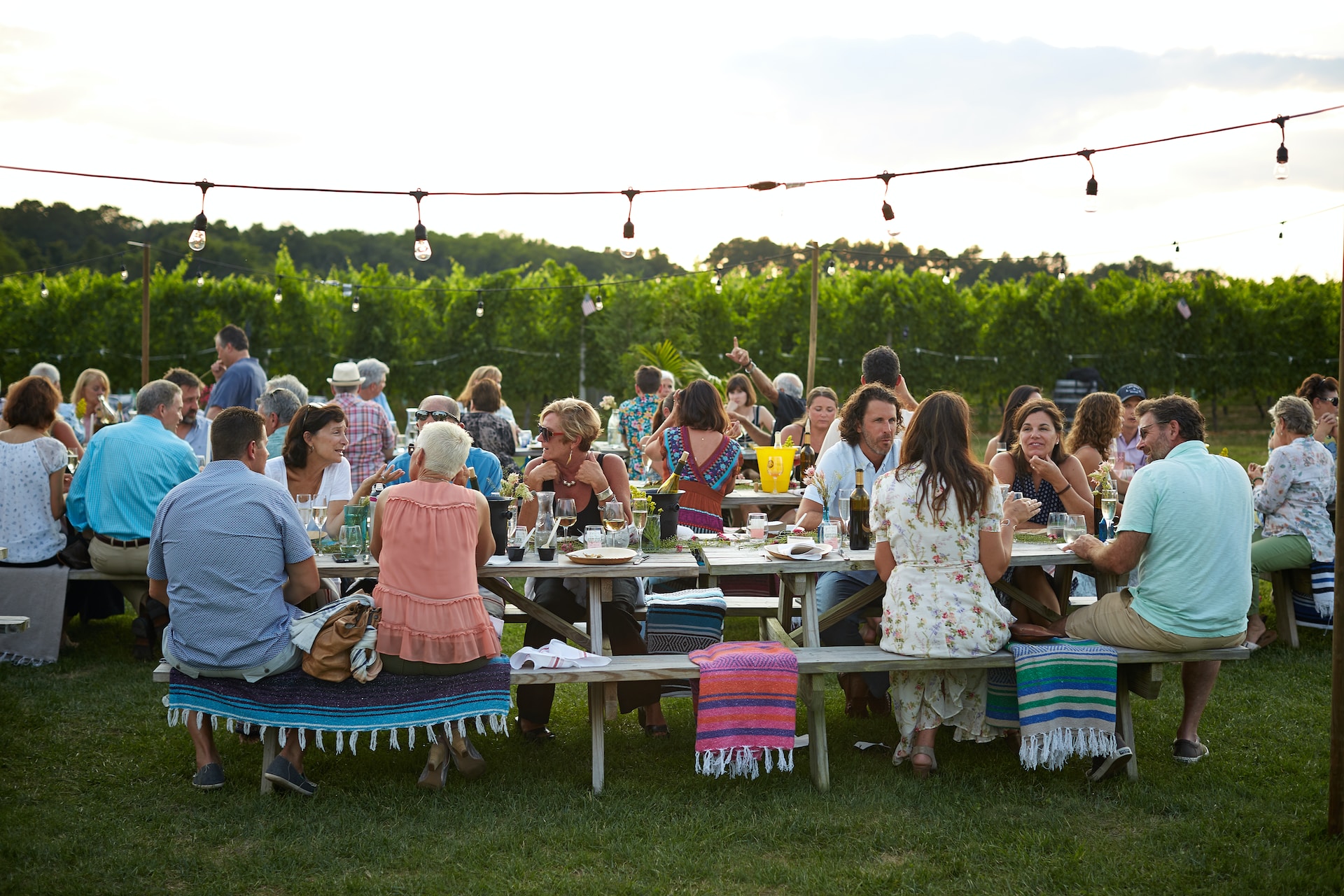 Outdoor party