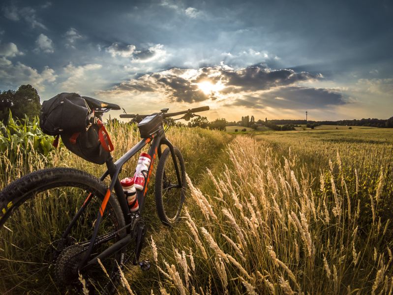 A photo of a mountain bike in a field of wheat as the sun goes down.