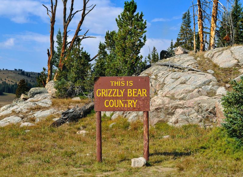 A sign on a trail in front of some rocks, that reads 'This is Grizzly Bear Country'