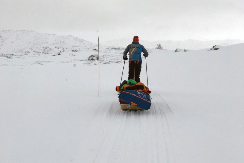 Man pulling a sled in Alaska's Iditarod Trail 1000 Invitational endurance race.