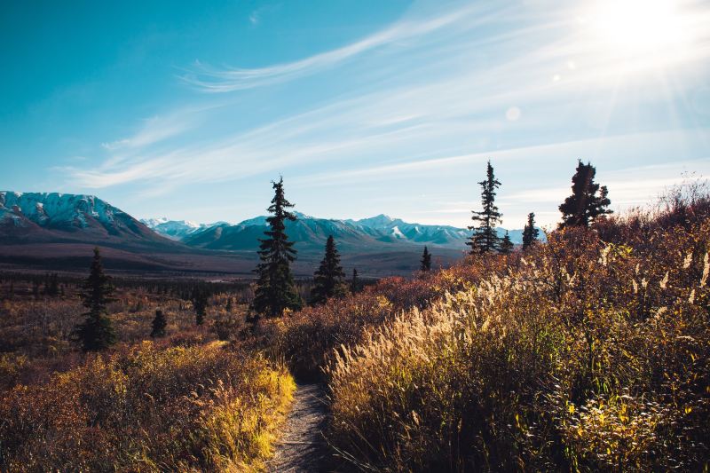 Beautiful remote Alaskan landscape with Denali in the background.