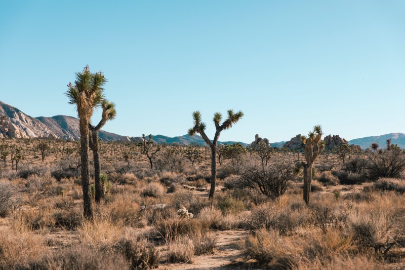 A desert setting