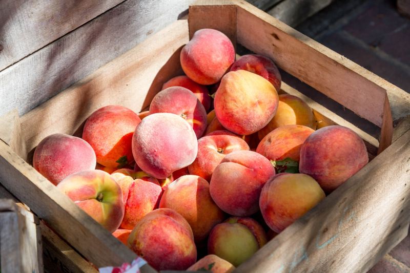 Crate of peaches