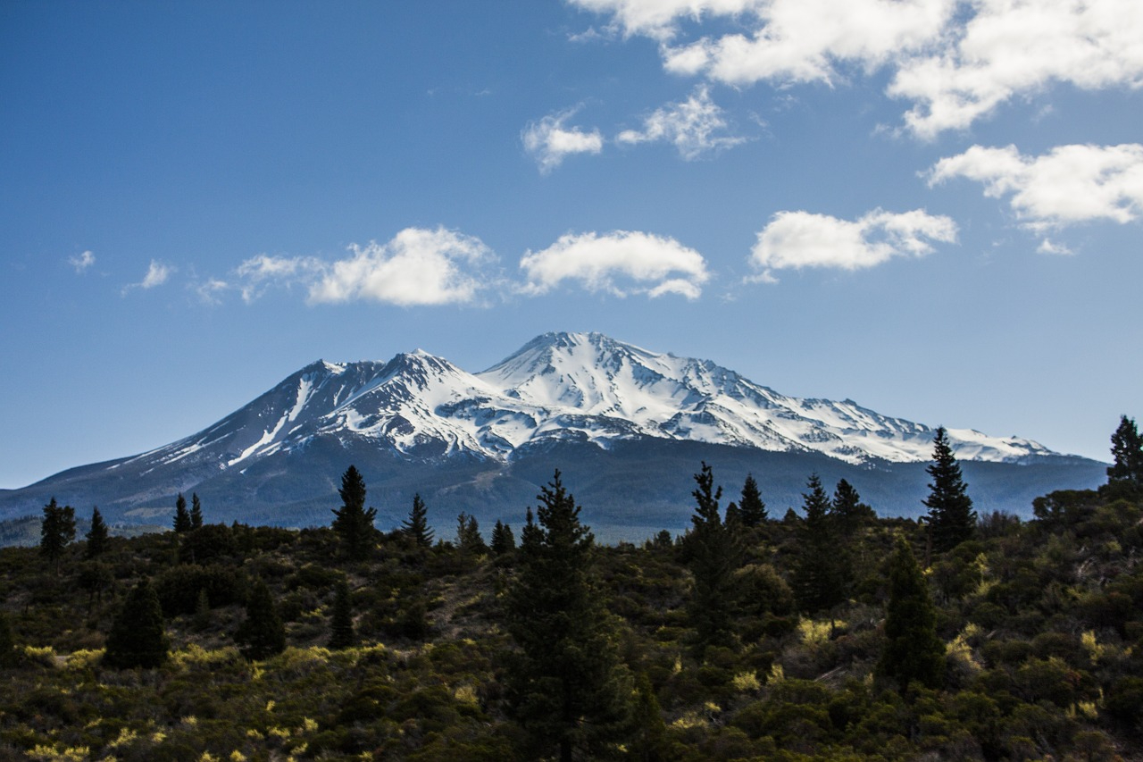 Mt. Shasta panorama.