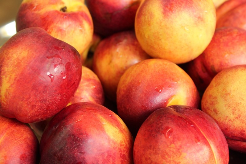 nectarines