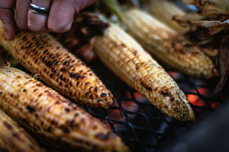 Grilled corn on the cob