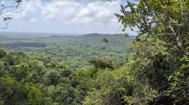 Belize mountain view