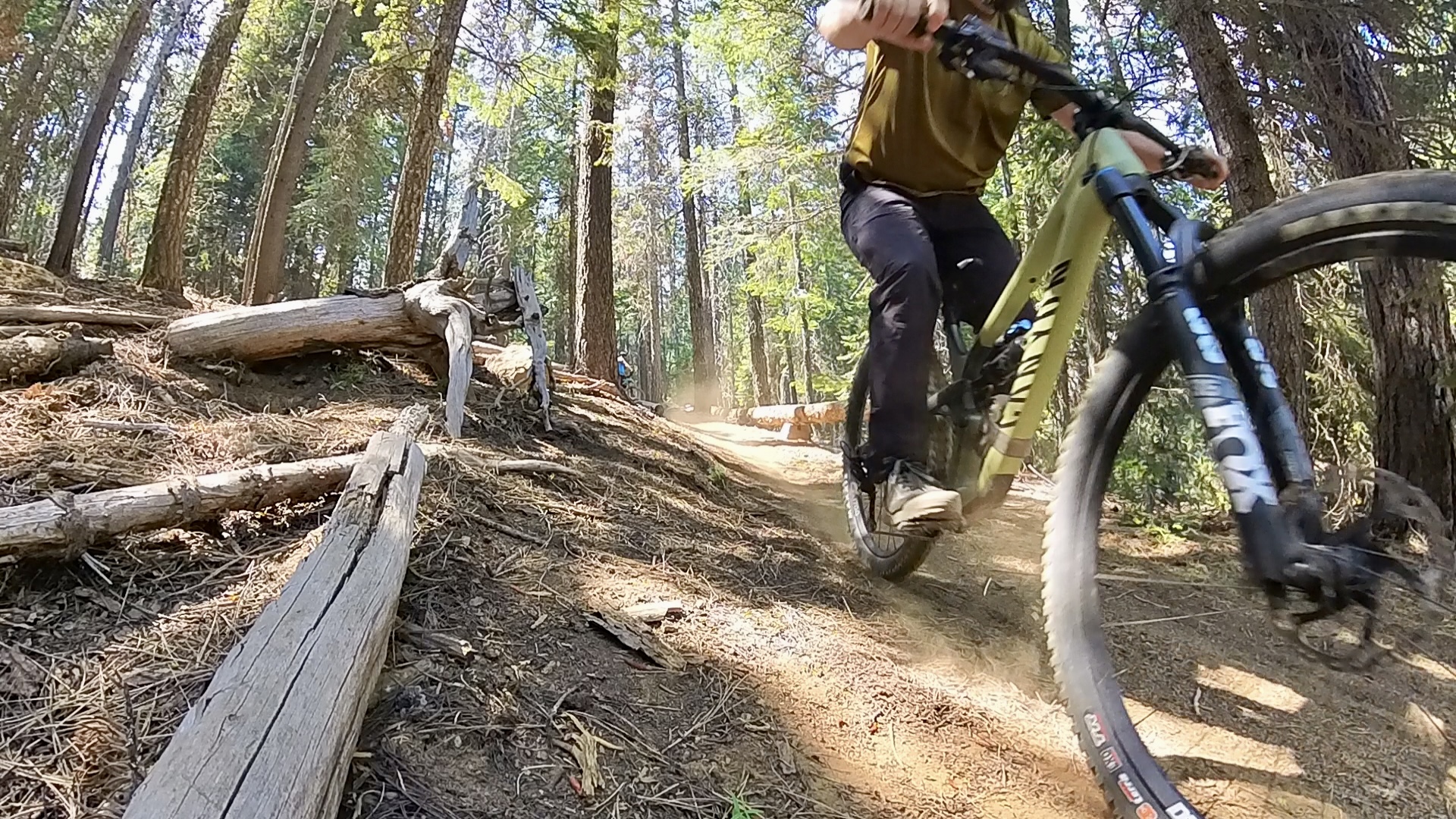 Mountain biking down a trail in Evo Bike Pants