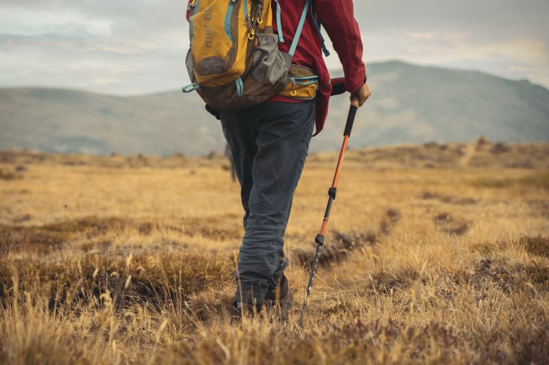 A man stands in a field wearing backpack and using Black diamond walking poles.
