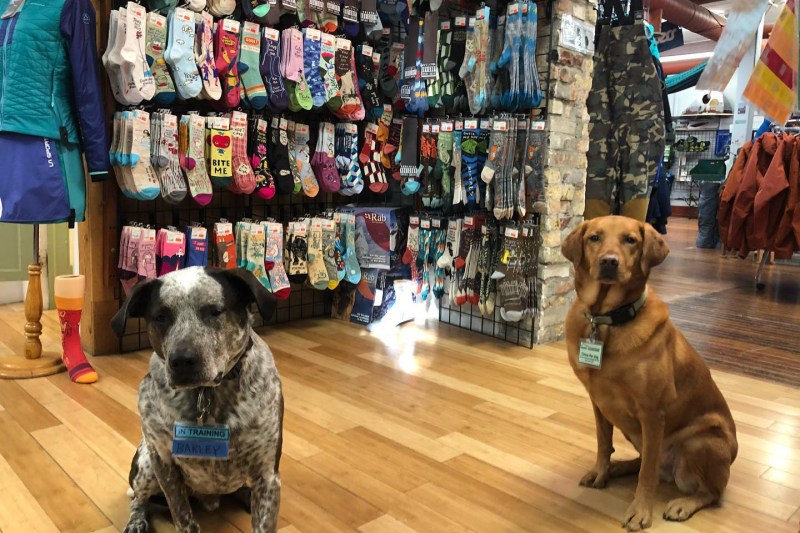 Outdoor Group Store - Skillset