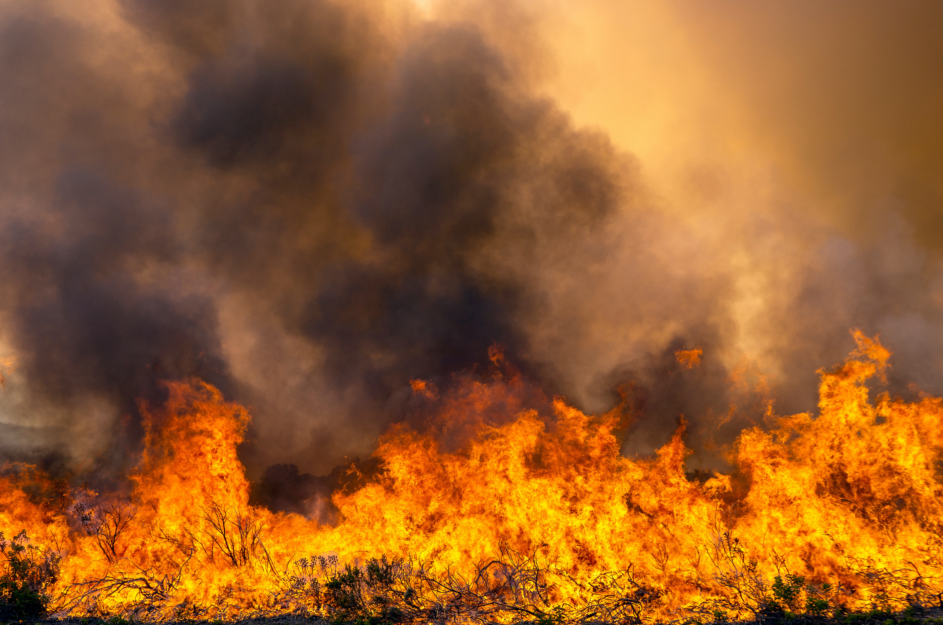 Wildfire flames in landscape