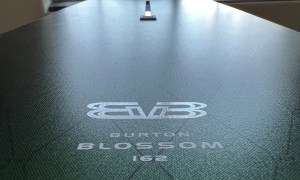 2024 Burton Blossom