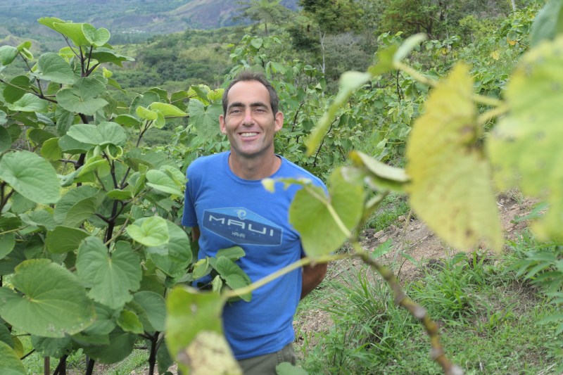 Photo of William Siff, founder of GoldThread Tonics and author of The Plant Medicine Protocol