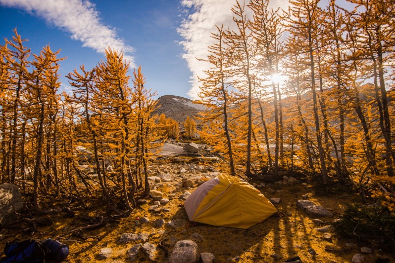 Camping views through larch trees in the Enchantments during fall