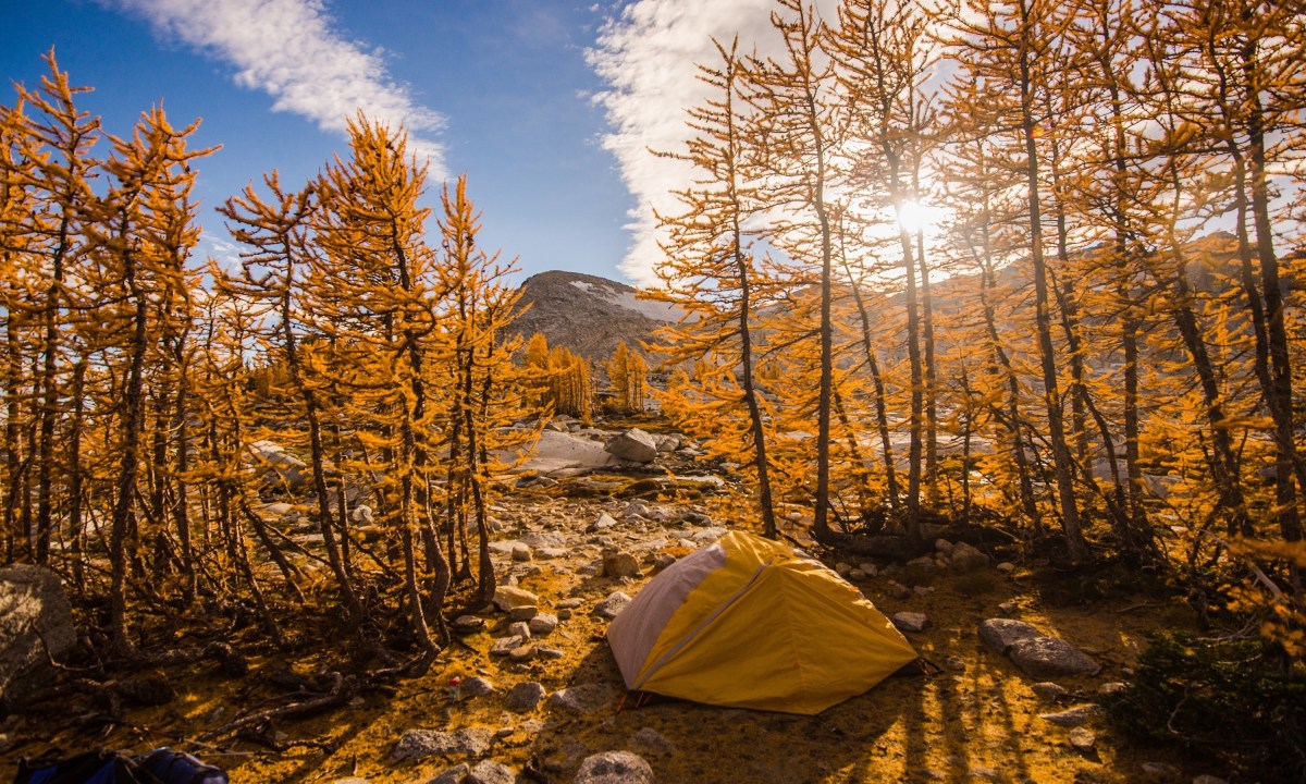 Camping views through larch trees in the Enchantments during fall