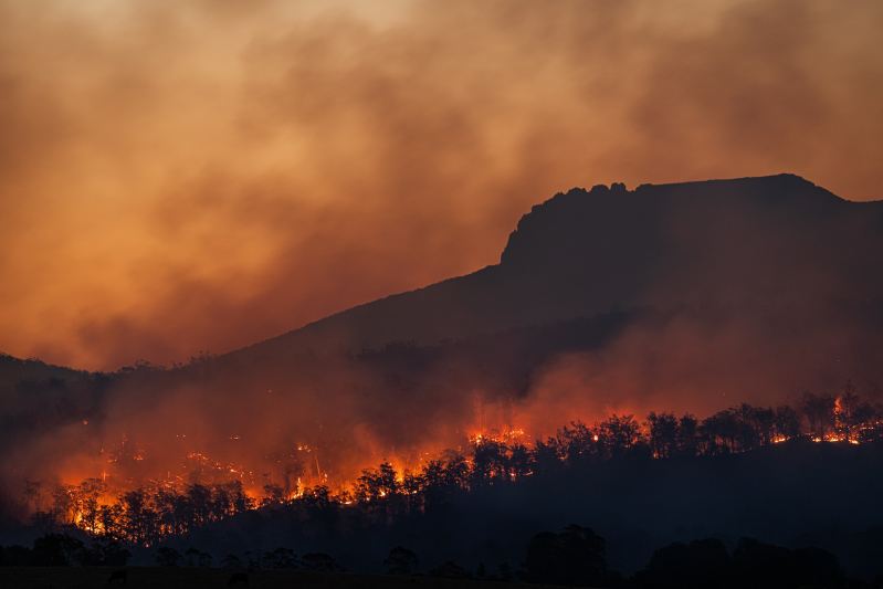 Wild bushfires burning in Tasmania, Australia.
