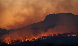 Wild bushfires burning in Tasmania, Australia.
