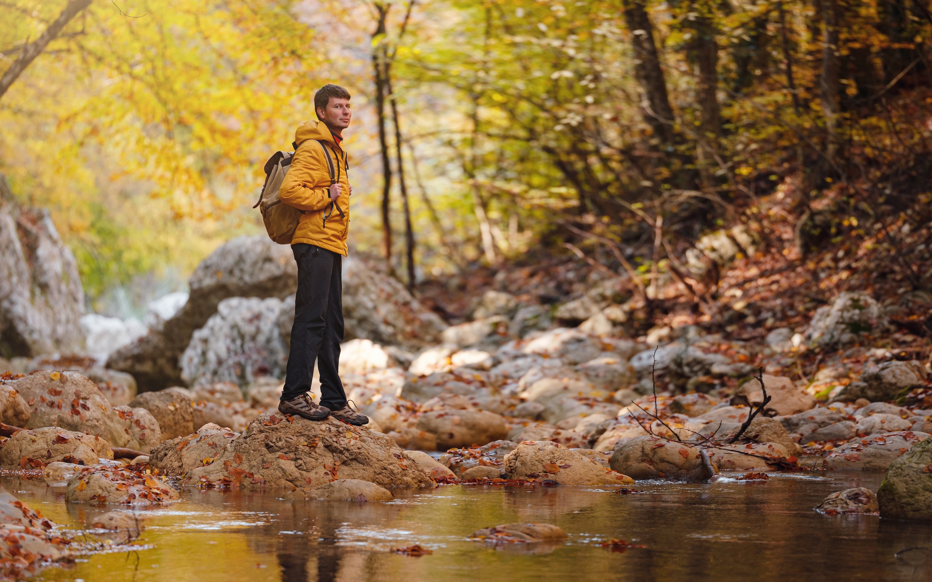 Travel and road trip concept at autumn. Adventure and active lifestyle in nature. Tourist hiking in forest. Caucasian man in yellow jacket walks in woods.