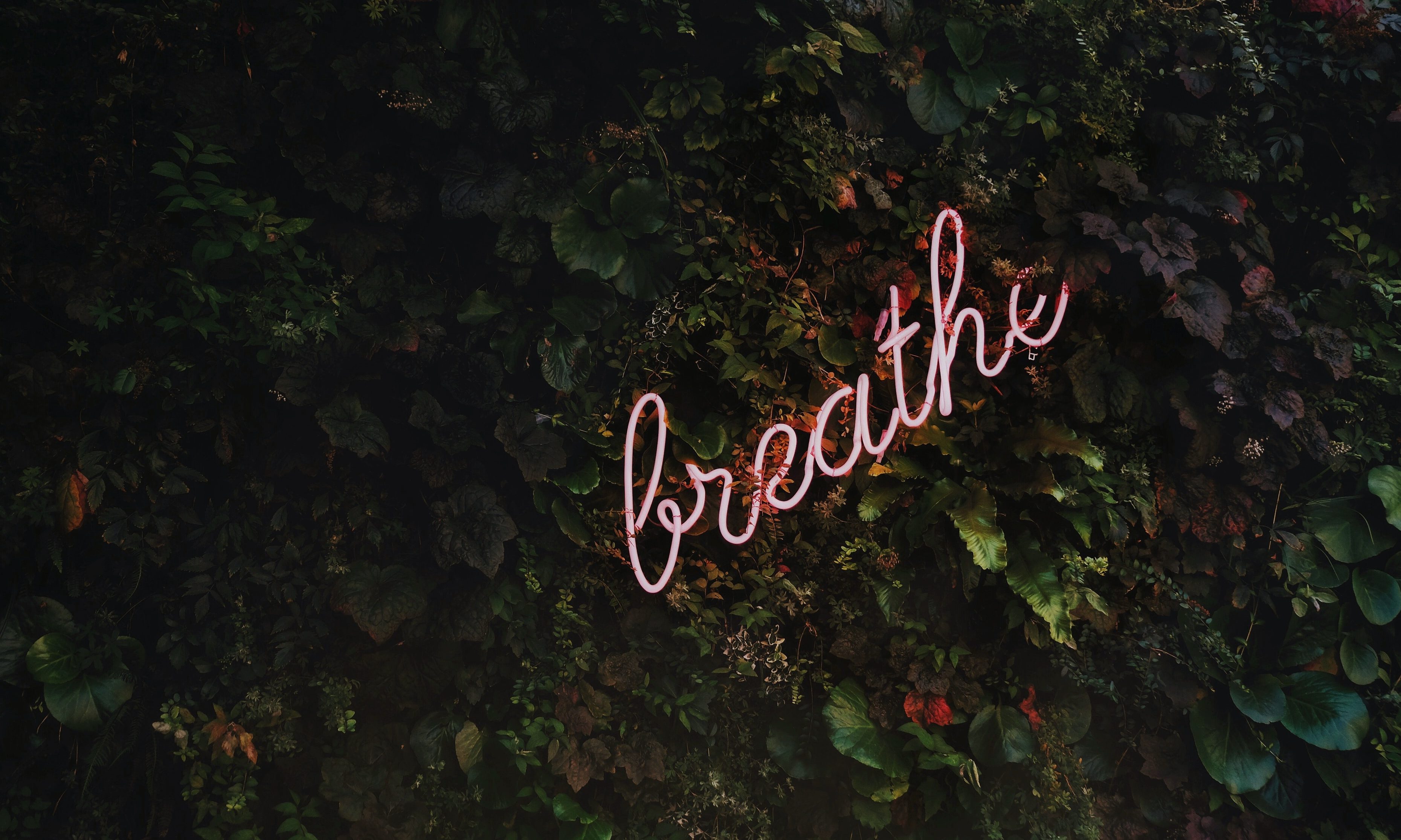 Pink breath message
