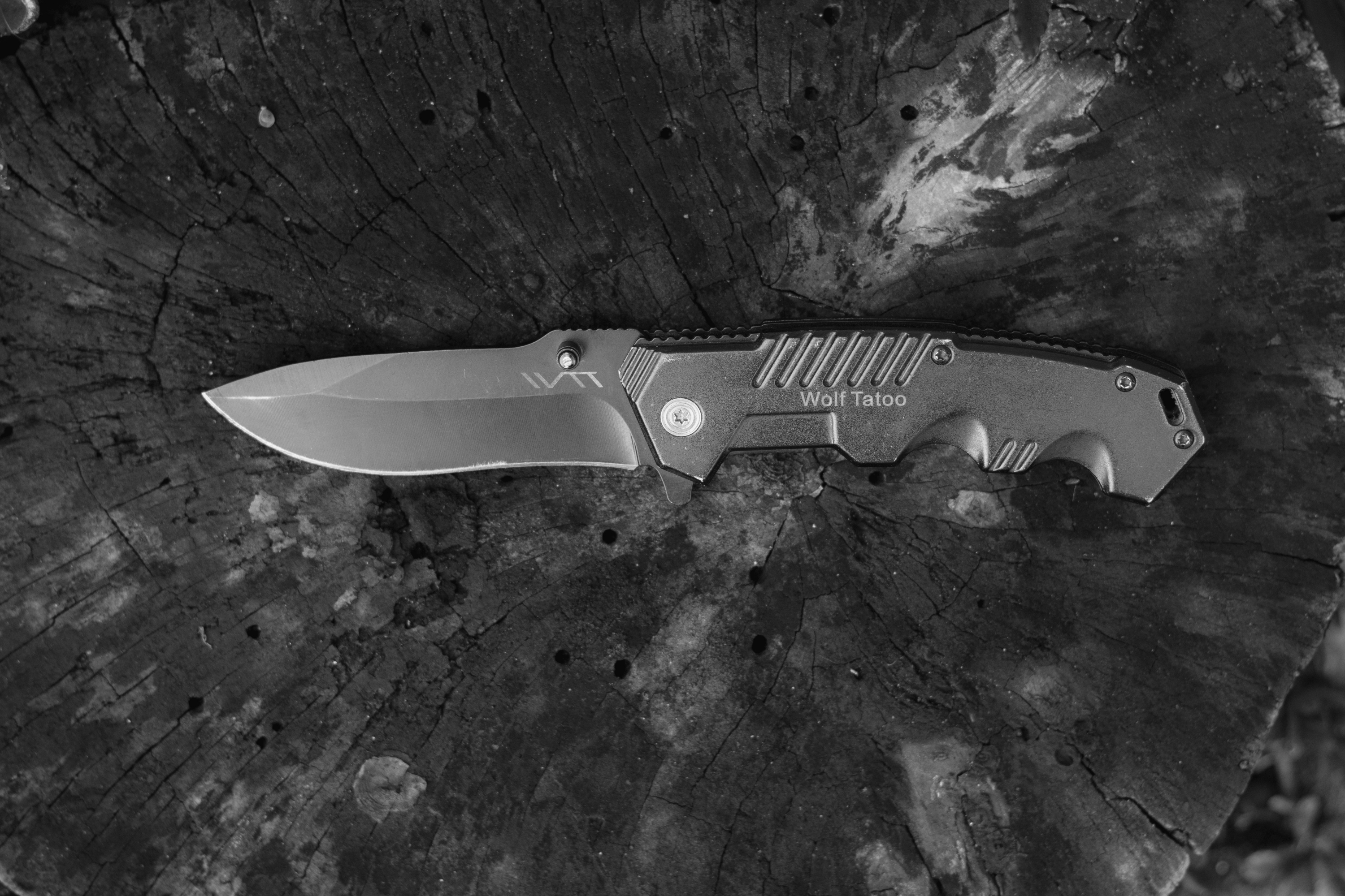 Black and white of pocket knife on tree stump