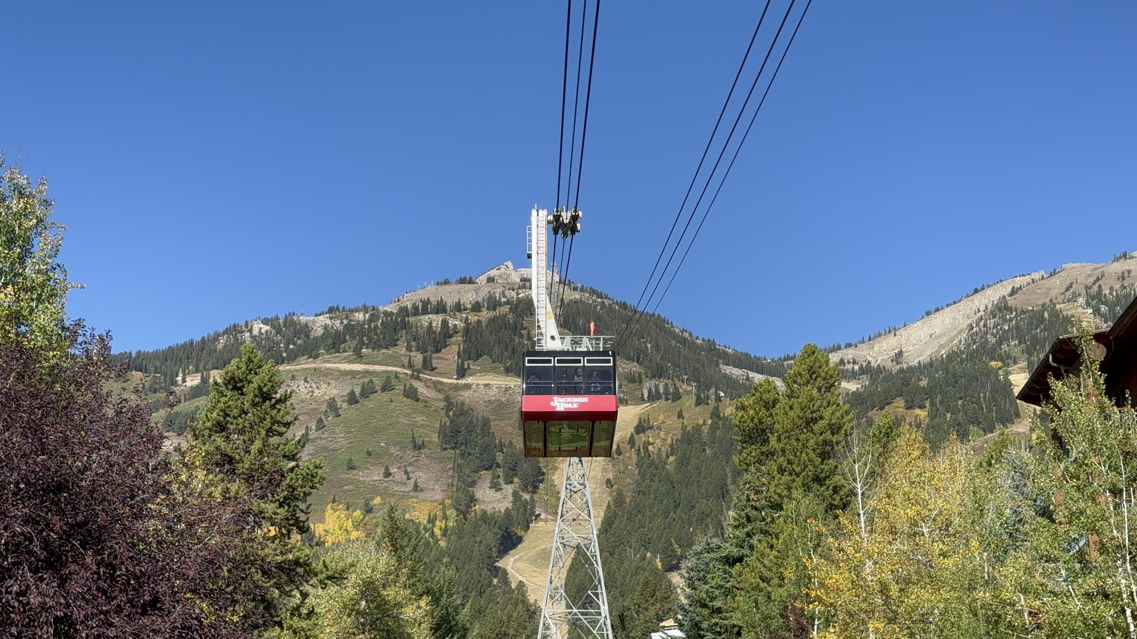 where to stay eat and play in jackson hole aerial tram at resort