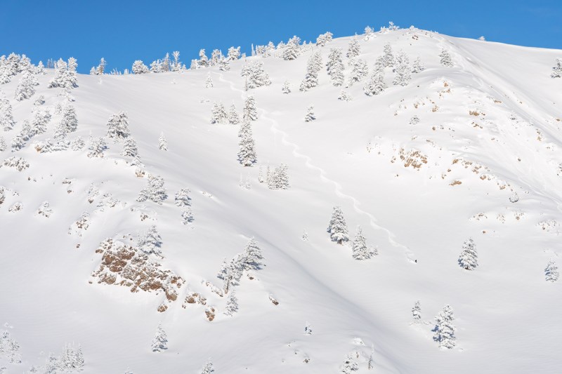 Fresh snow on Powder Mountain, Utah
