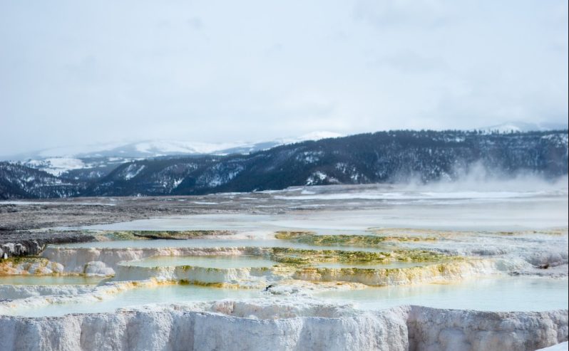 Yellowstone National Park in the Winter.