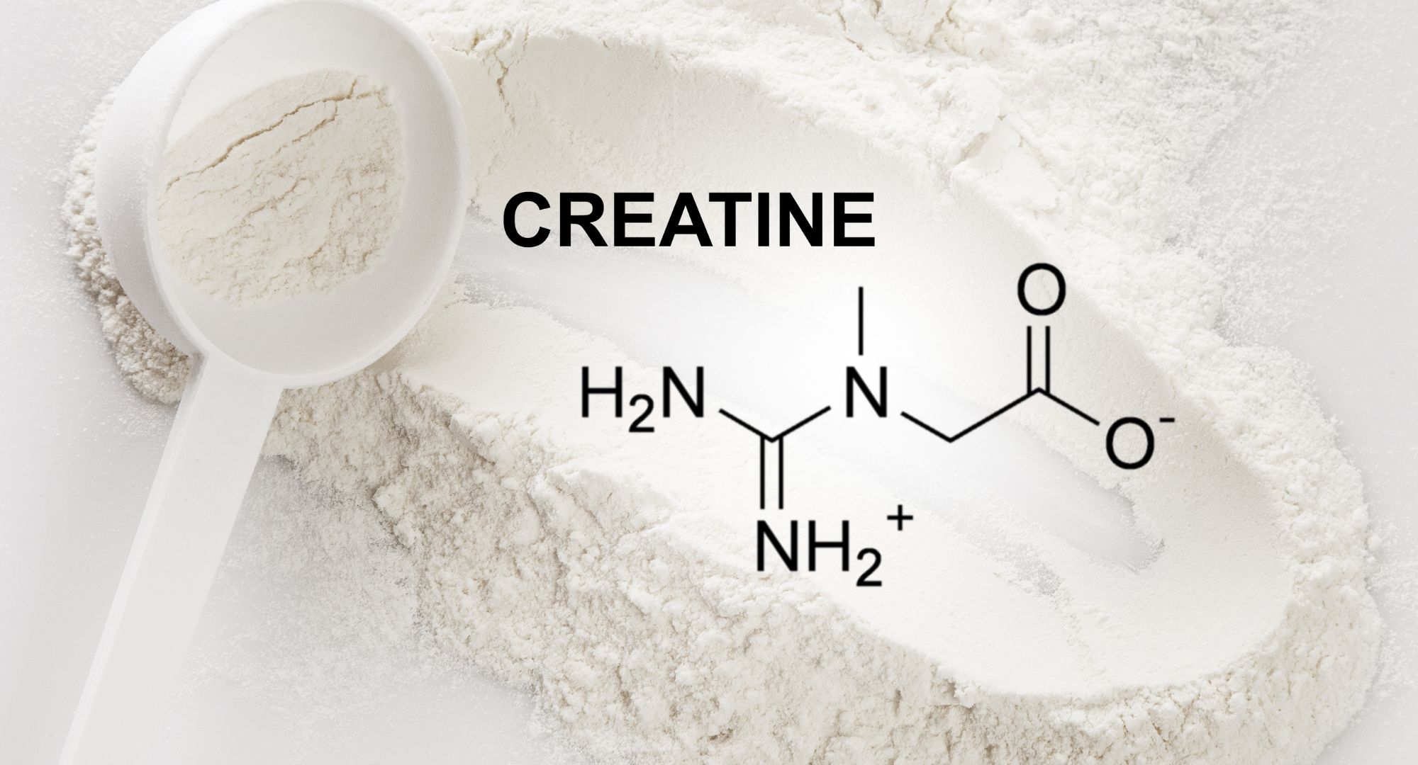 Scoop of Creatine Monohydrate Supplement and Chemical Formula