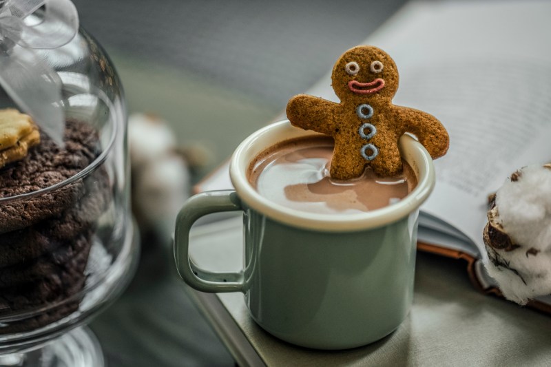 Gingerbread man in a mug