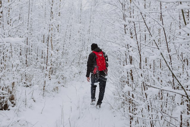 A man in a red jacket walking through the woods, covered in snow